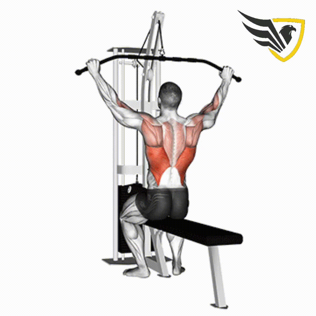 LAT PULL DOWN